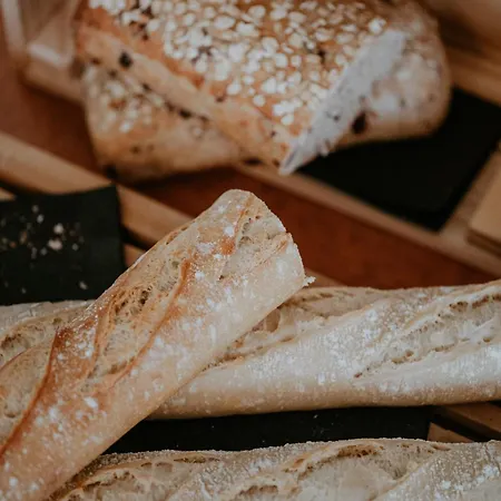 Brit Le Parc Vichy Hotel