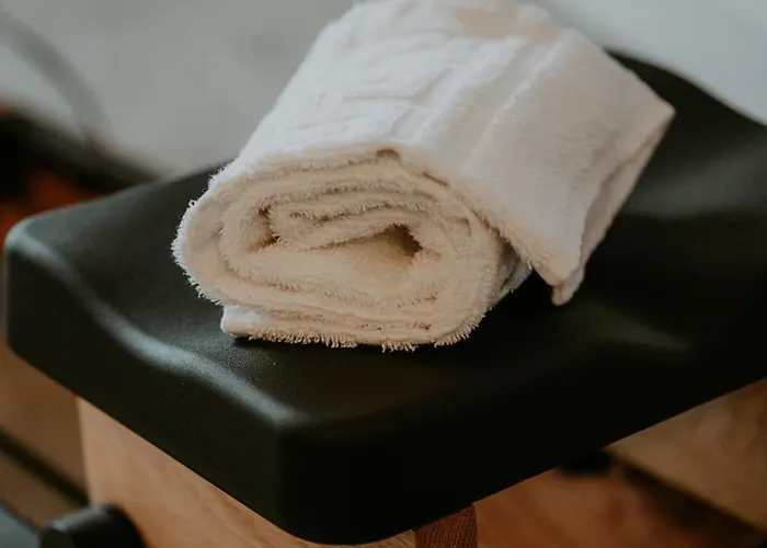 Hotel Brit Le Parc Vichy 3*