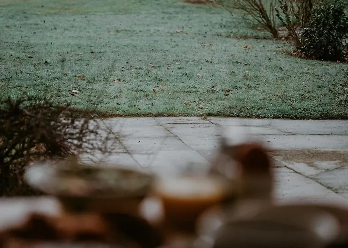 Brit Le Parc Vichy Hotel 3*